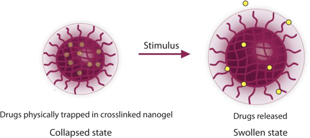 Fig. 8