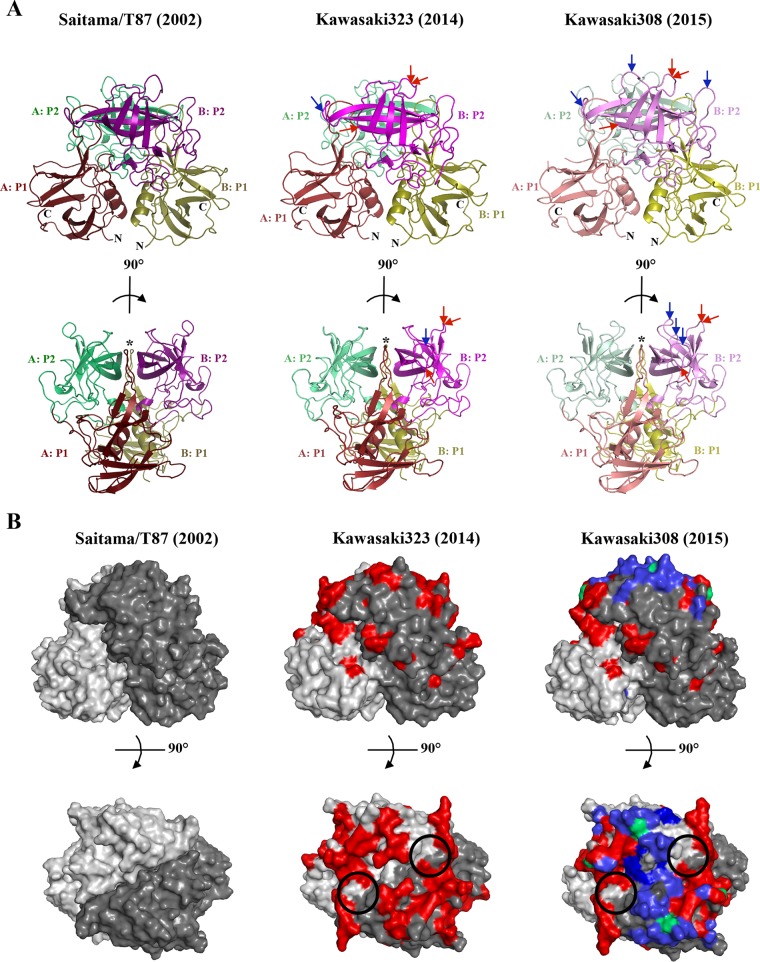 FIG 2