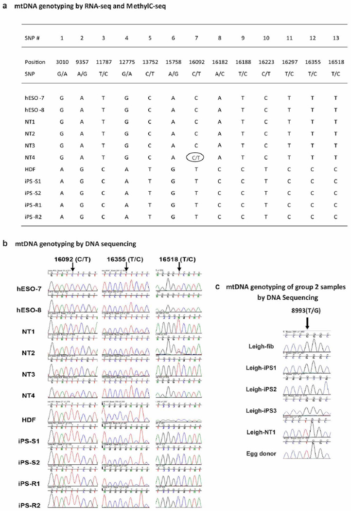 Extended Data Figure 1