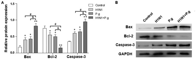 Figure 5.