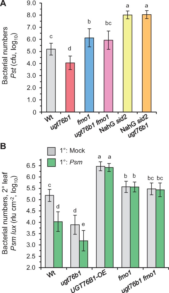 Figure 7