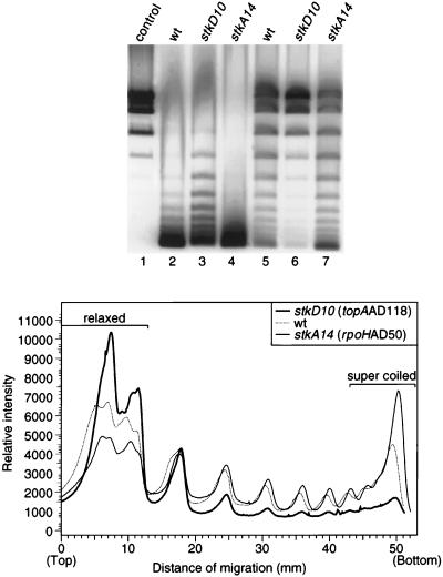 FIG. 7
