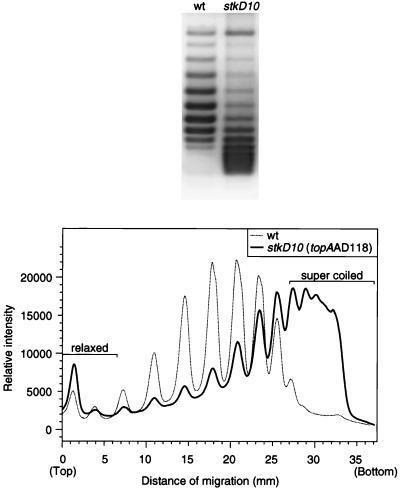 FIG. 5