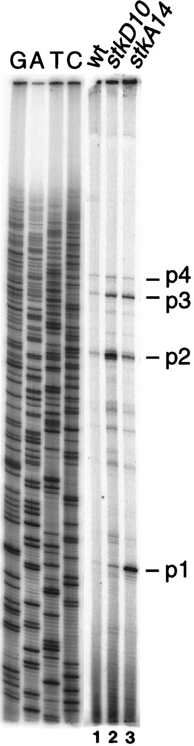 FIG. 9