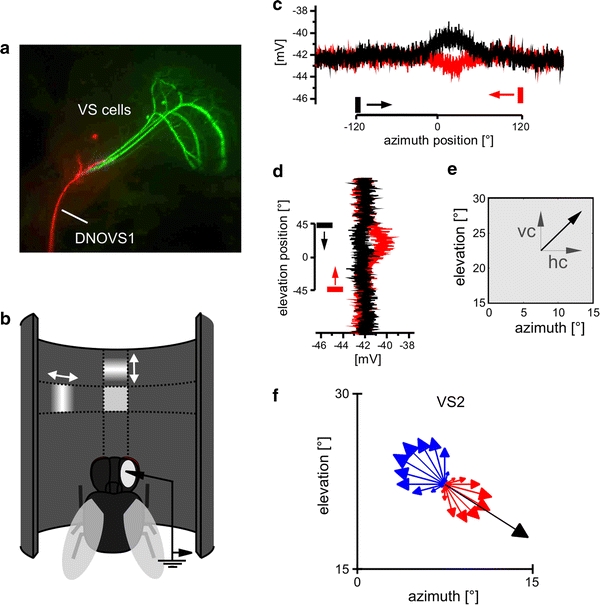 Fig. 1