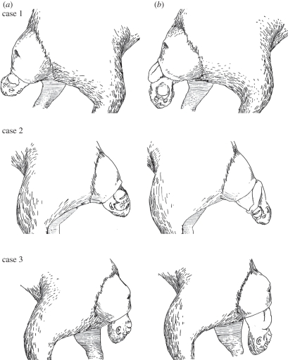 Figure 2.