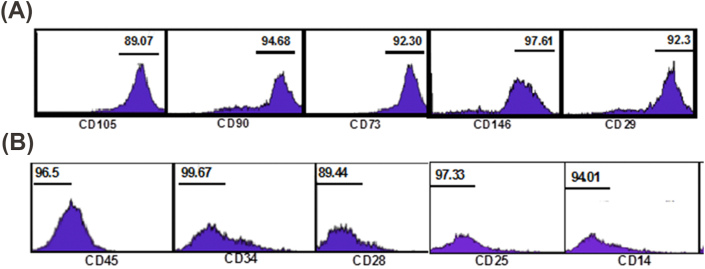 Figure 2