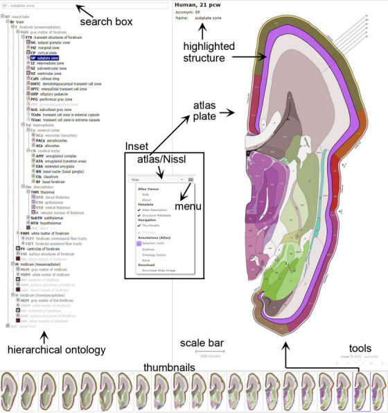 FIGURE 23