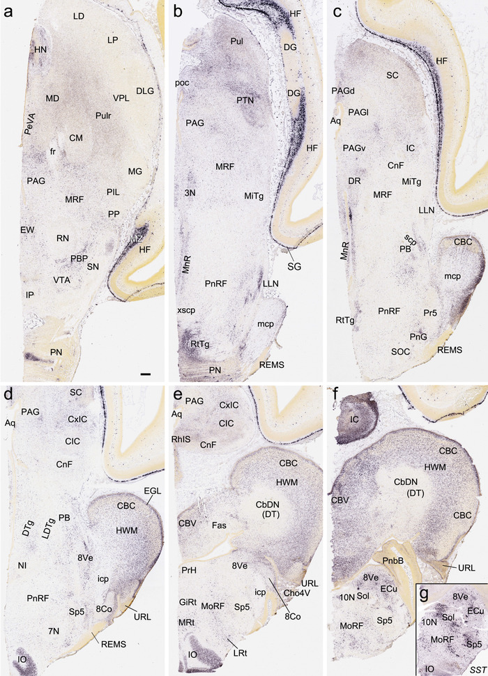 FIGURE 18