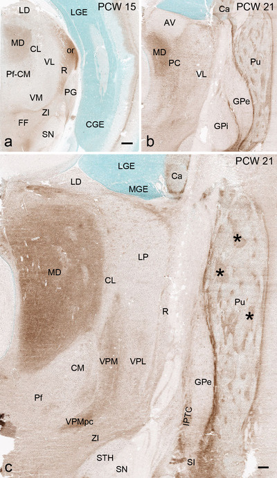 FIGURE 16