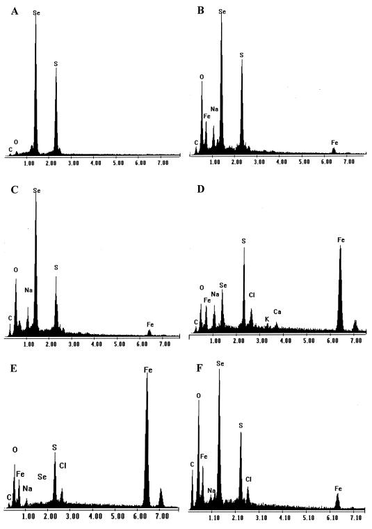 FIG. 6.