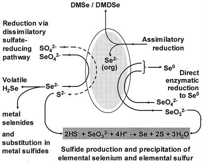 FIG. 7.