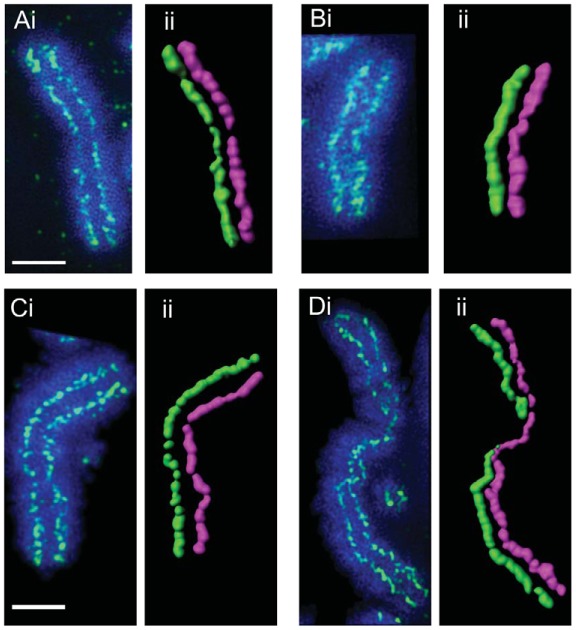 Fig. 8.