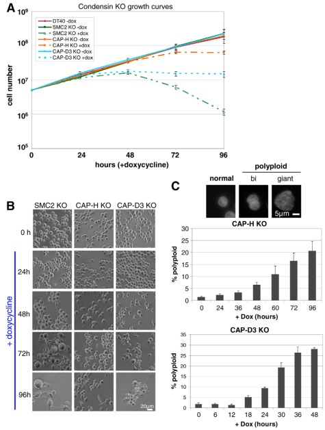 Fig. 2.