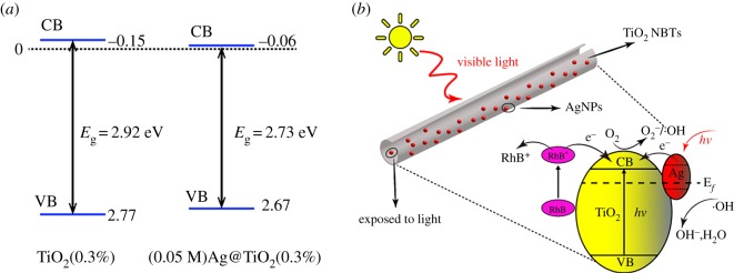 Figure 10.