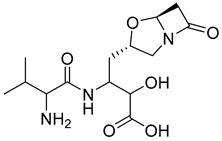 graphic file with name pharmaceutics-16-01607-i002.jpg