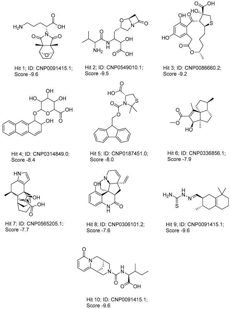 Figure 12