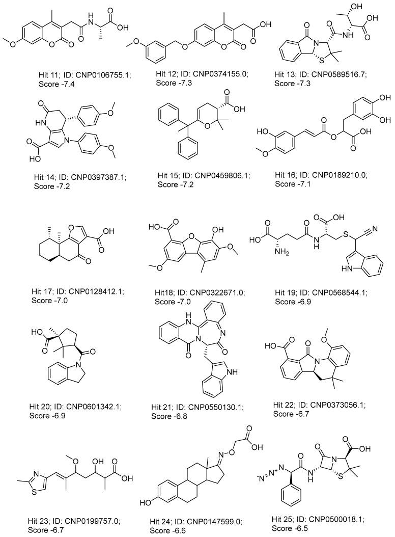 Figure 12