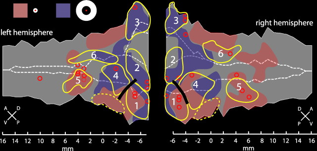 Figure 7.