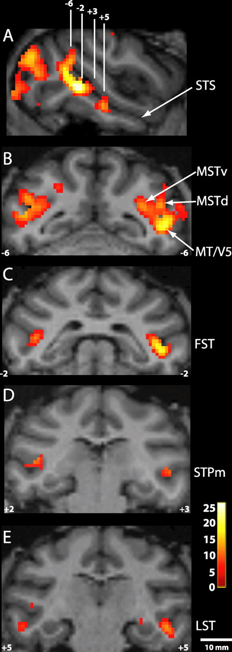 Figure 6.