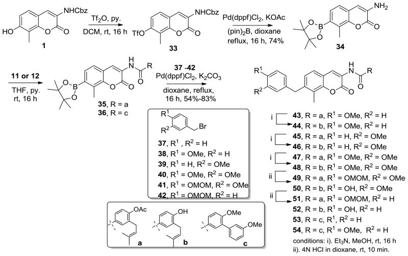 Scheme 3