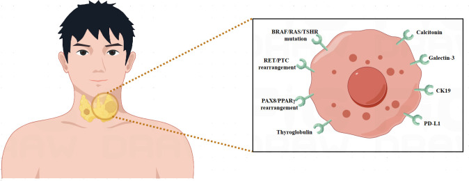 Figure 1