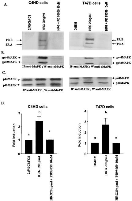 FIG. 8.