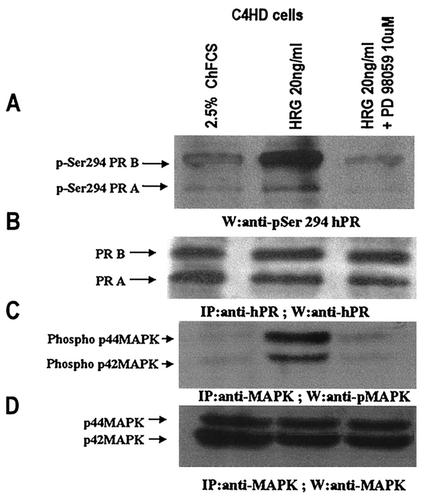 FIG. 10.