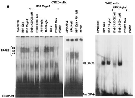 FIG. 5.