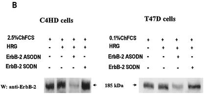 FIG. 5.