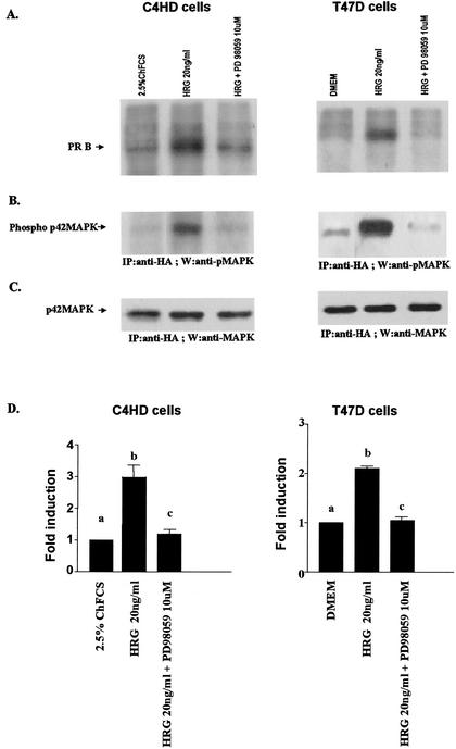 FIG. 9.