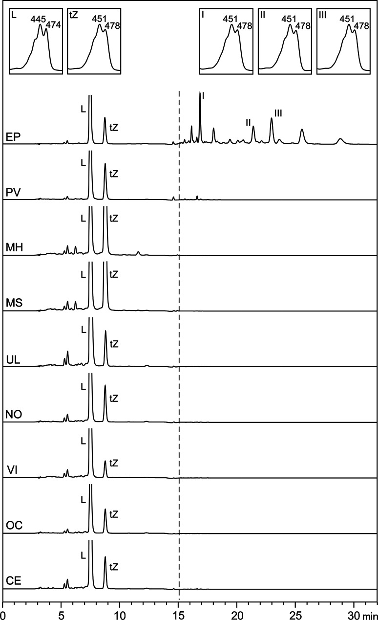 Fig. 2