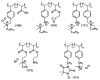 Figure 34