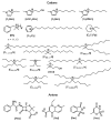 Figure 19