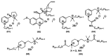 Figure 23