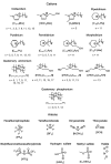 Figure 18