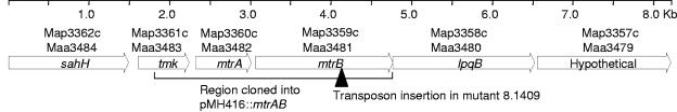 FIG. 1.