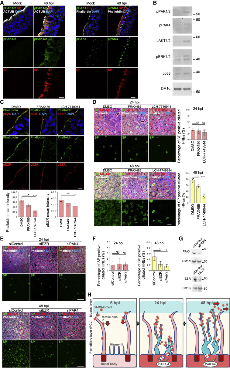 Figure 6