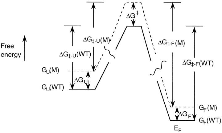 Fig. 12.