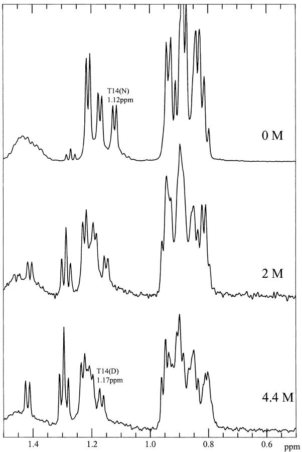 Fig. 10.