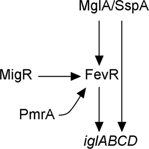 FIG. 8.