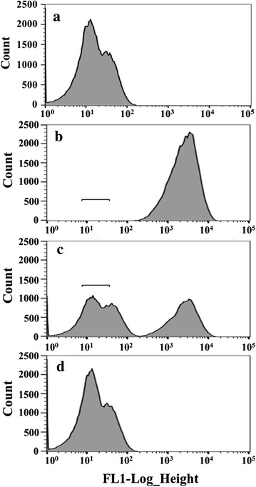 Fig. 1