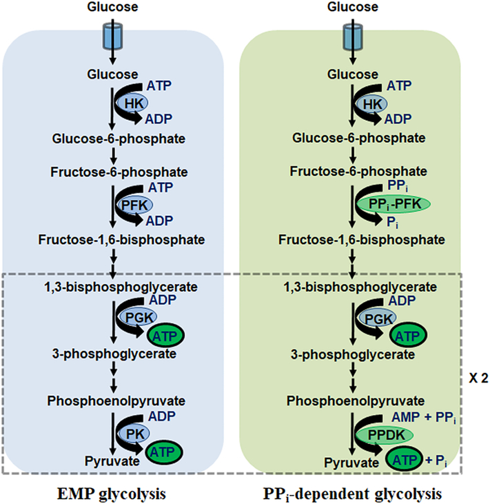 Figure 2: