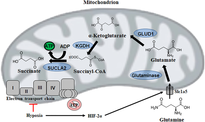 Figure 5: