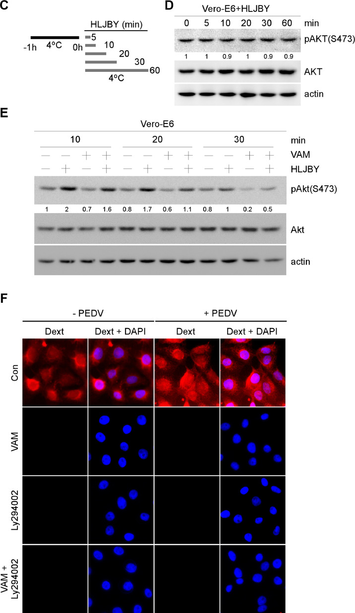 Fig 5