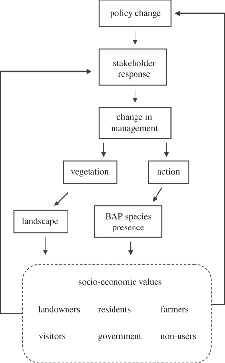 Figure 1.