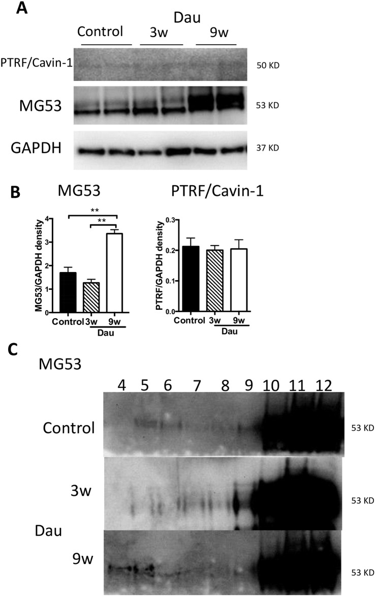 Fig 7