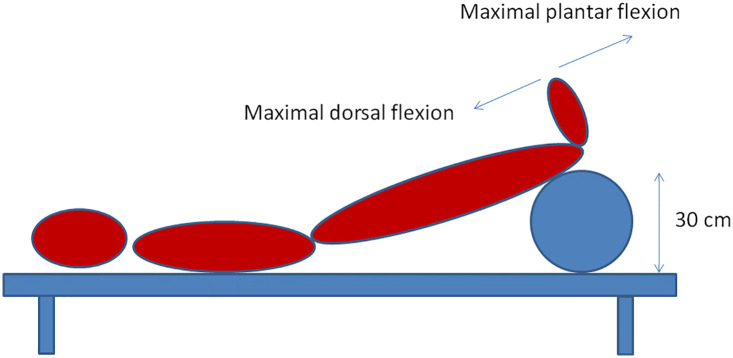 Figure 2