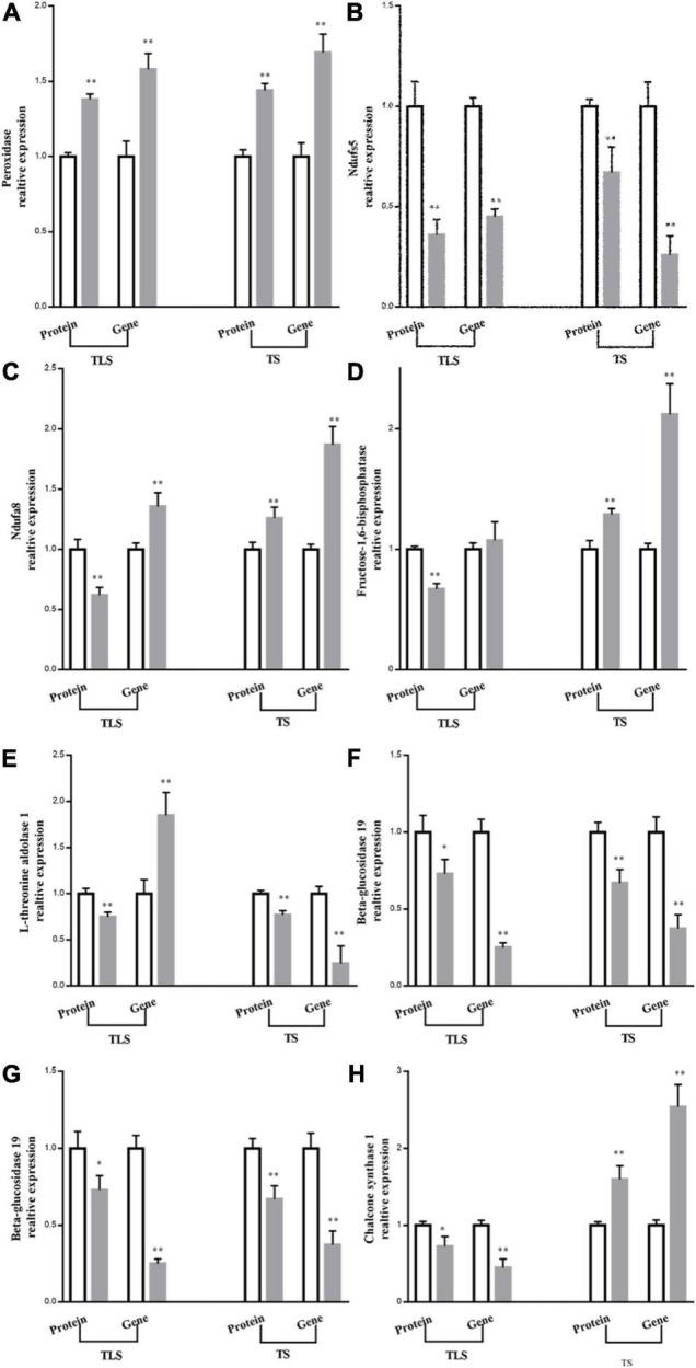 FIGURE 10