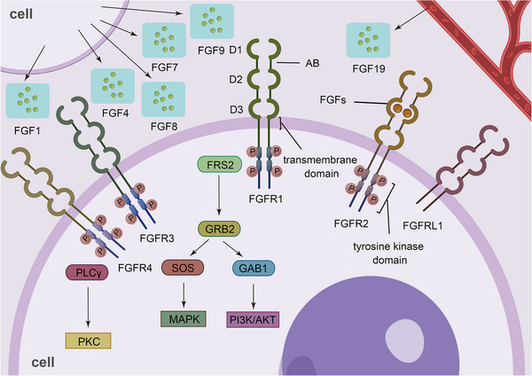 FIGURE 1